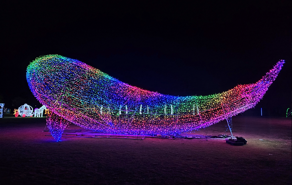 대전물빛축제: 스마트라이팅 고래