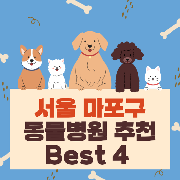서울 마포구 동물병원 추천