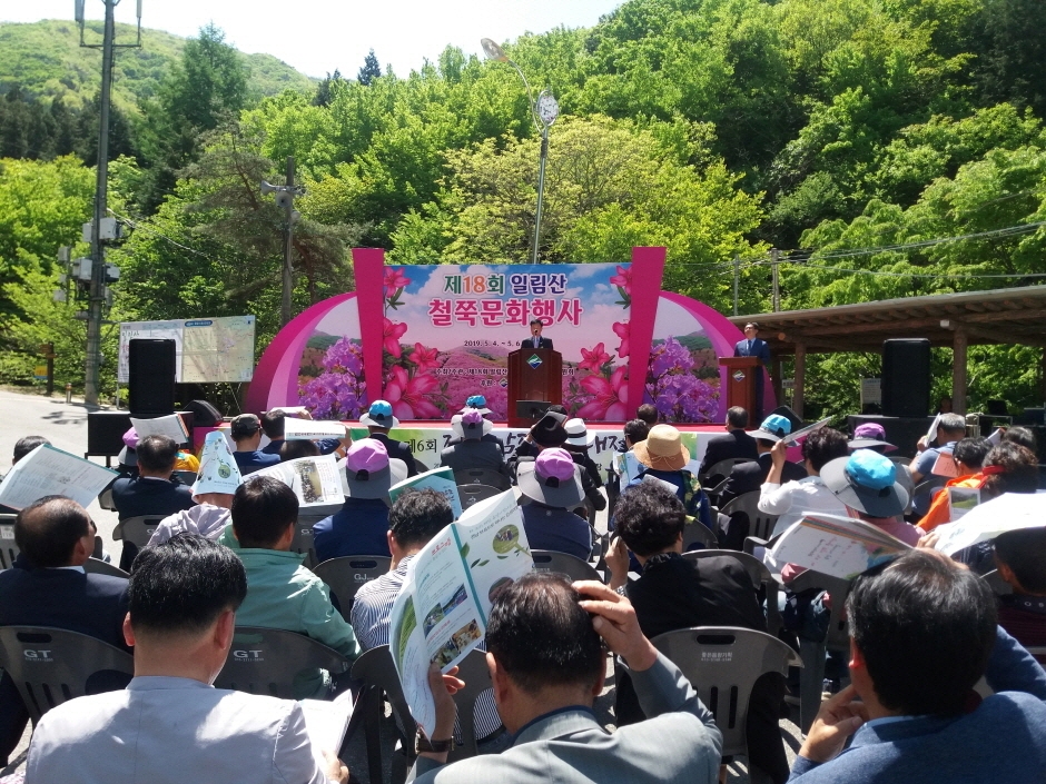 제 20회 일림산 철쭉문화행사 기본일정과 특징 소개