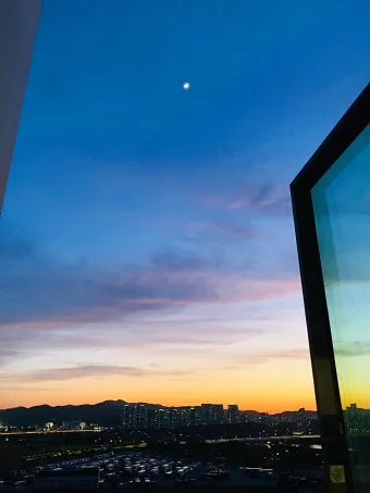 북서향 창문 식물 선택 저광량관리 물주기 식물등 세팅 가이드_7