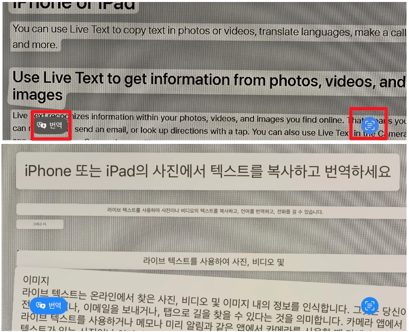 사진 속 영어 번역하는 방법