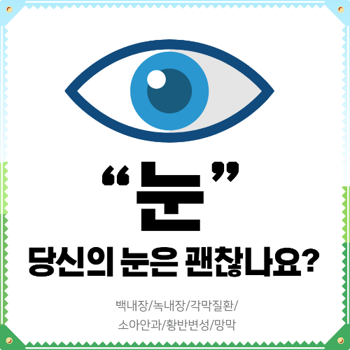 안과 질환 설명 썸네일