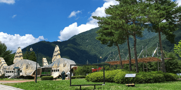 가을 바다 열차 여행 추천