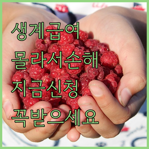 아이고, 생계급여 몰라서 손해 봤소?..