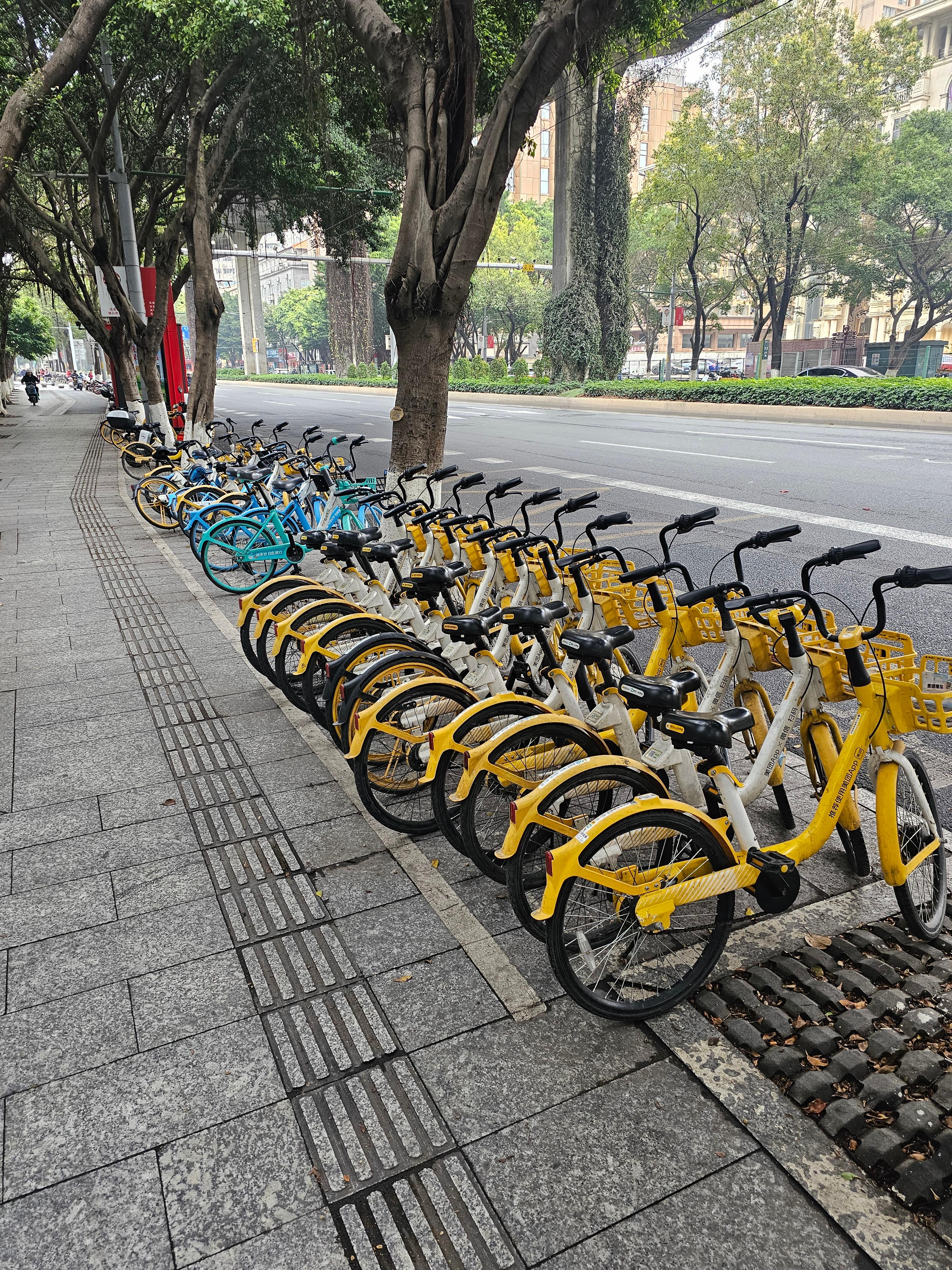 중국어로 자전거