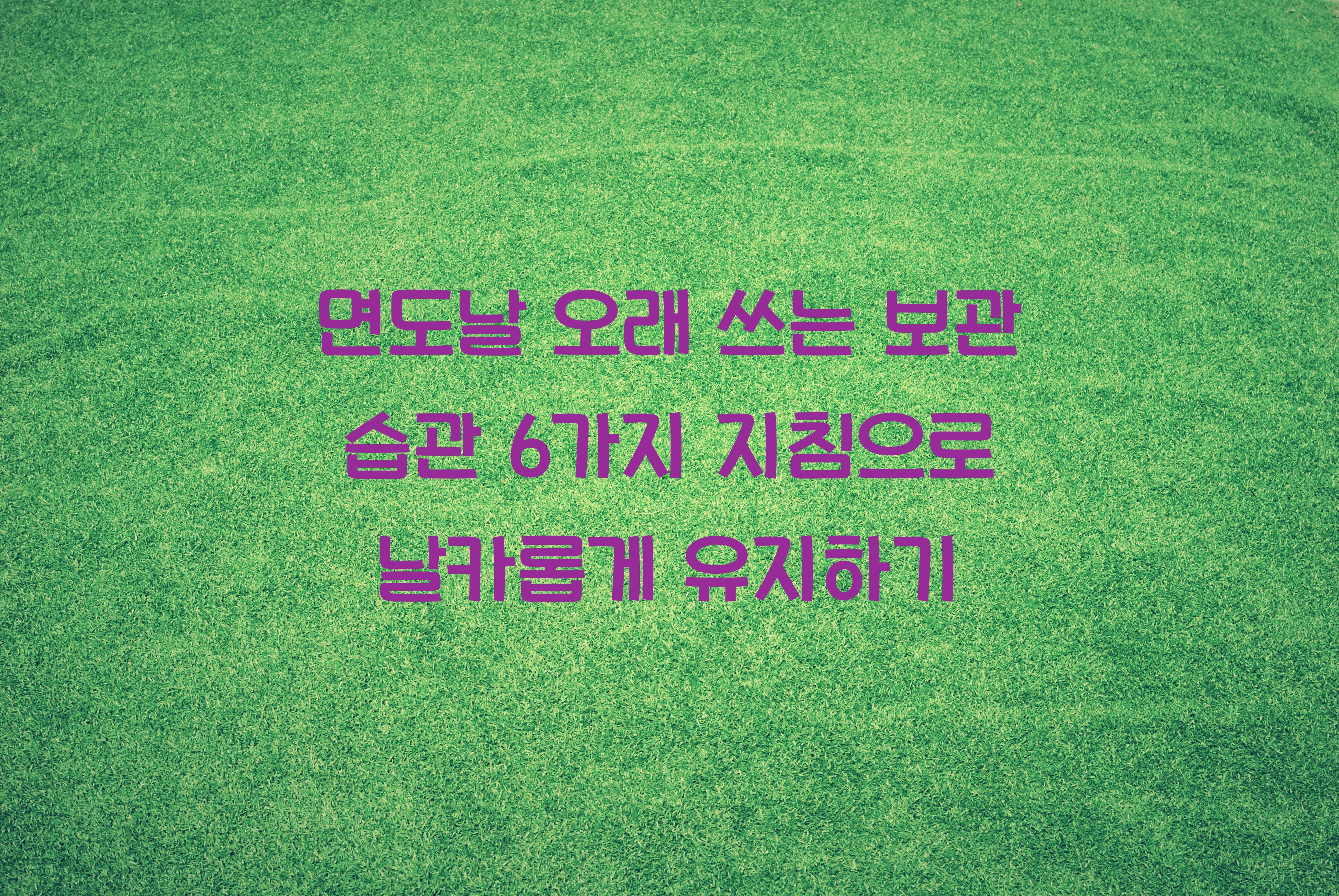 면도날 오래 쓰는 보관 습관