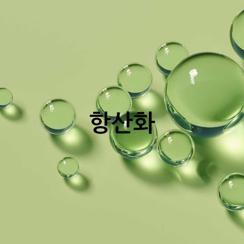 커큐민 효능 부작용