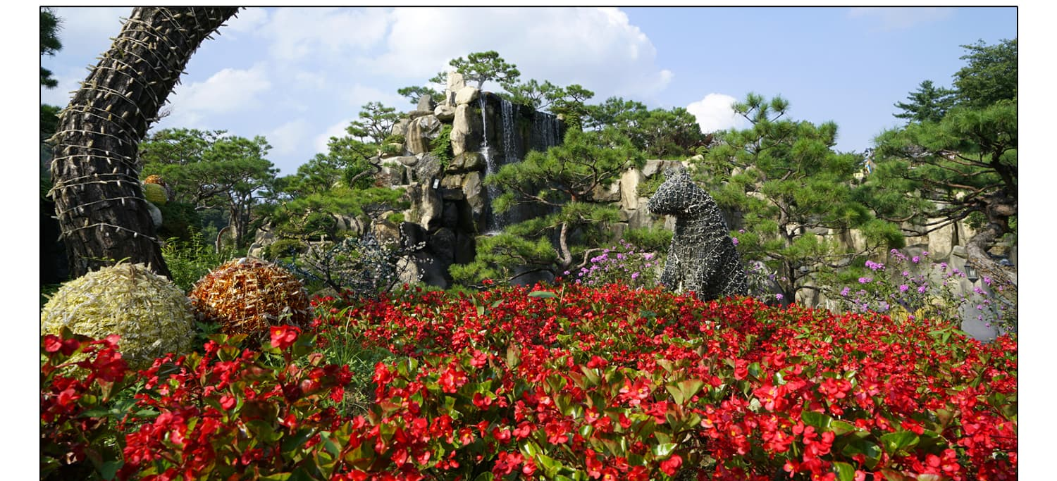 [반려견 동반, 서울 근교 여행지] 포천 허브아일랜드, 반려견과 함께 떠나는 사계절 힐링 여행