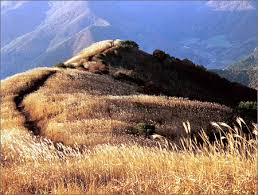 10월 가볼만한곳 베스트 