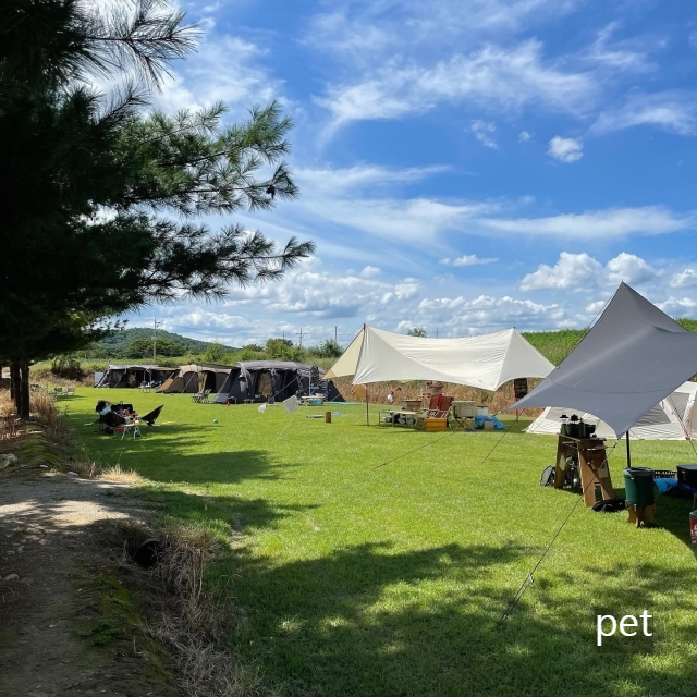 경기-연천-캠핑브릿지캠핑장-예약-방법-애견-동반-가격-주소-시간-후기