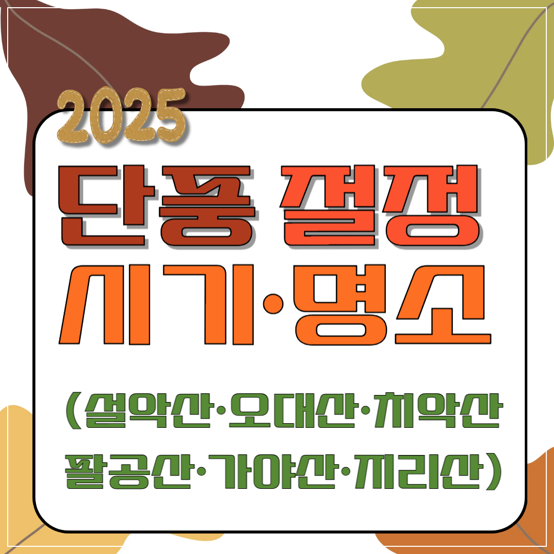 2025년 단풍 절정 시기·명소(설악산·오대산·치악산·팔공산·가야산·지리산)이미지