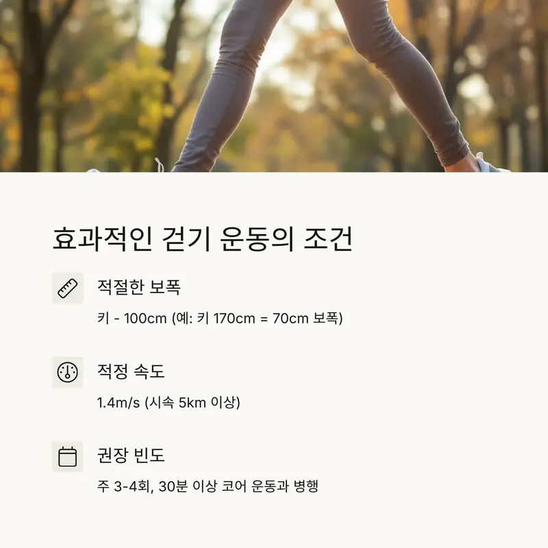 효과적인 걷기 운동의 조건 - 적절한 보폭과 속도