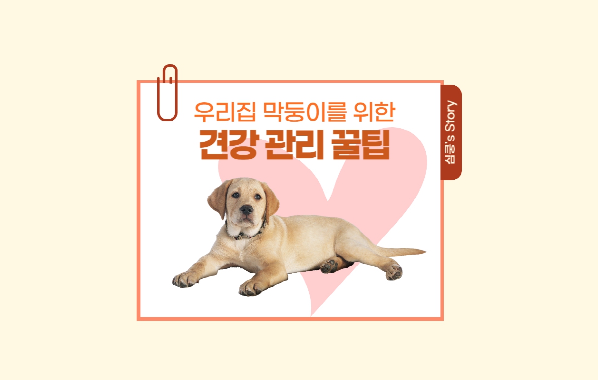 식욕부진을 유발할 수 있는 대표적인 반려견 질환