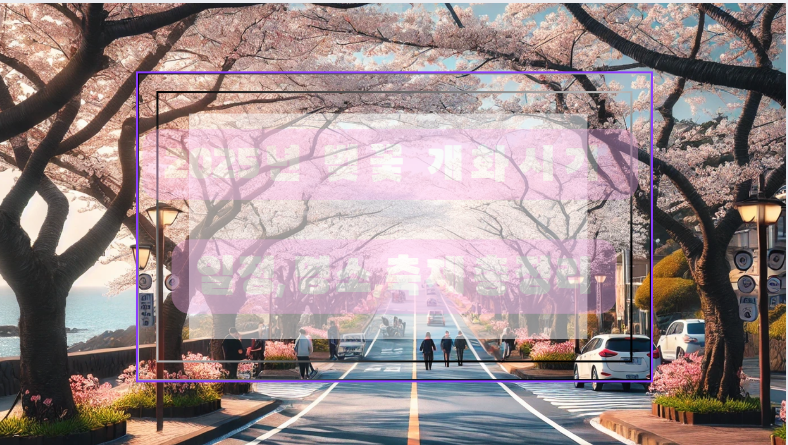 2025 벚꽃 개화