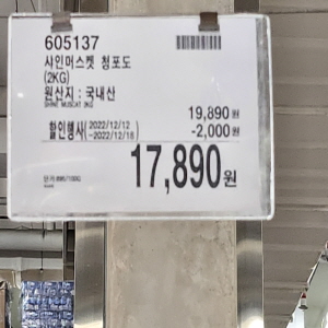 코스트코 광명점 할인