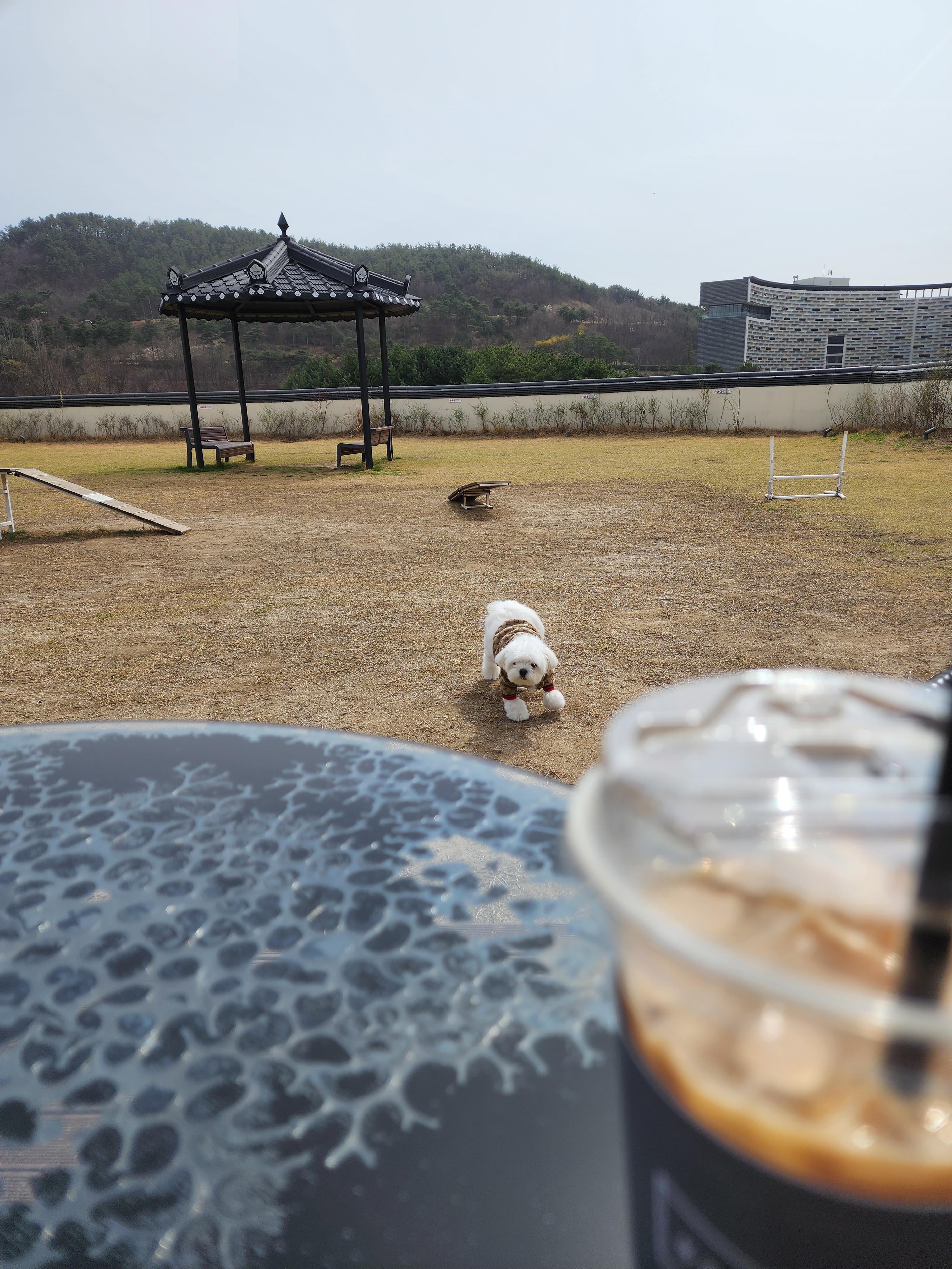 반려견과 부여롯데아울렛