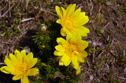 화담숲-예약하기