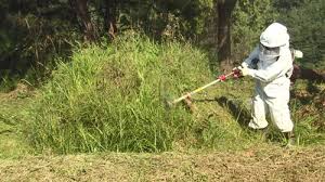 벌초대행 가격비교