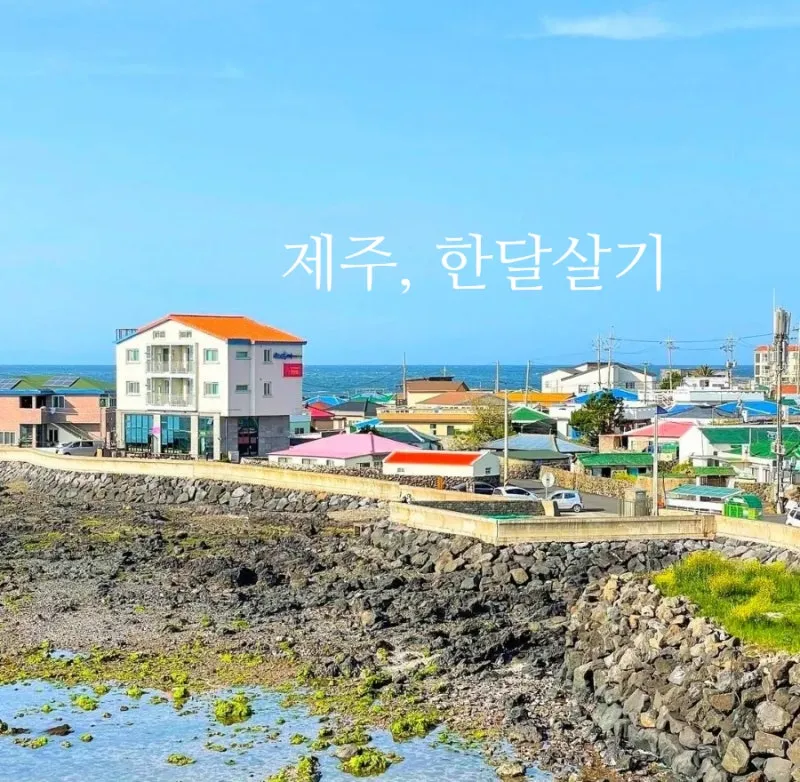 제주도 한 달 살기 아기와 함께하는 특별한 여행 준비 팁_1