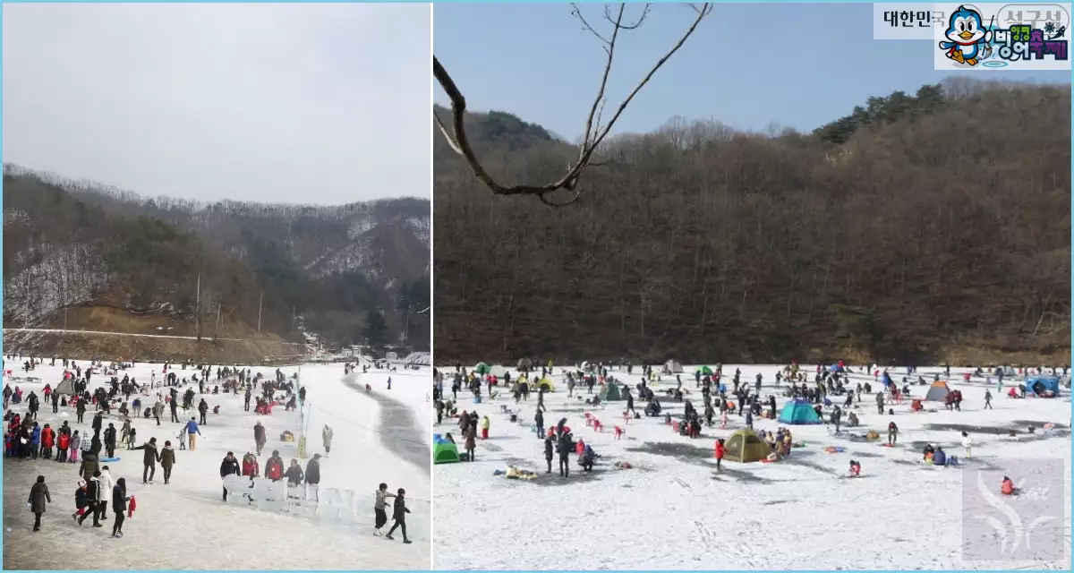 양평빙어축제 전경