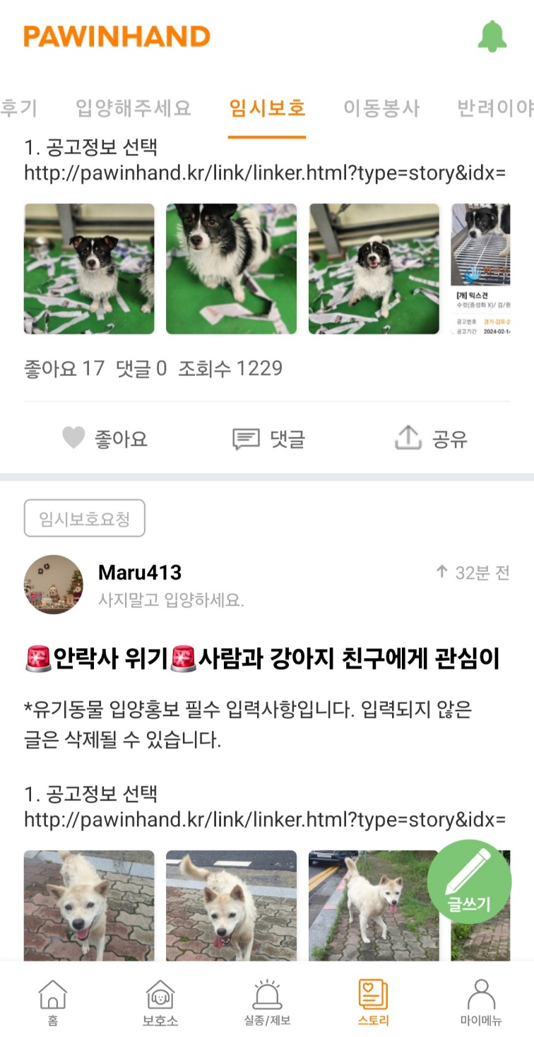 유기동물 입양하기 - 포인핸드