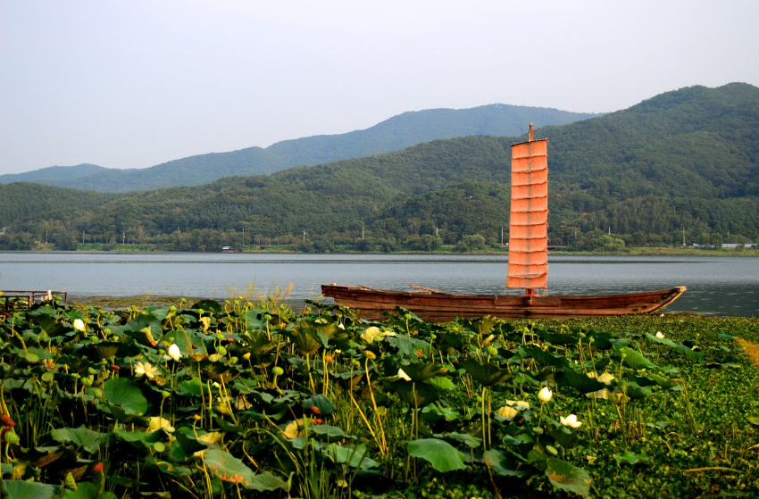 황포돛배 관련 사진