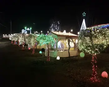 고니골 빛축제_12