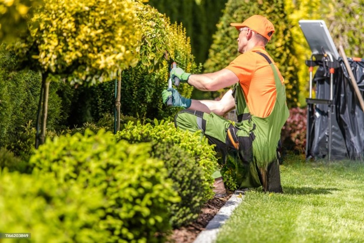 50대 자격증 추천 조경기능사
