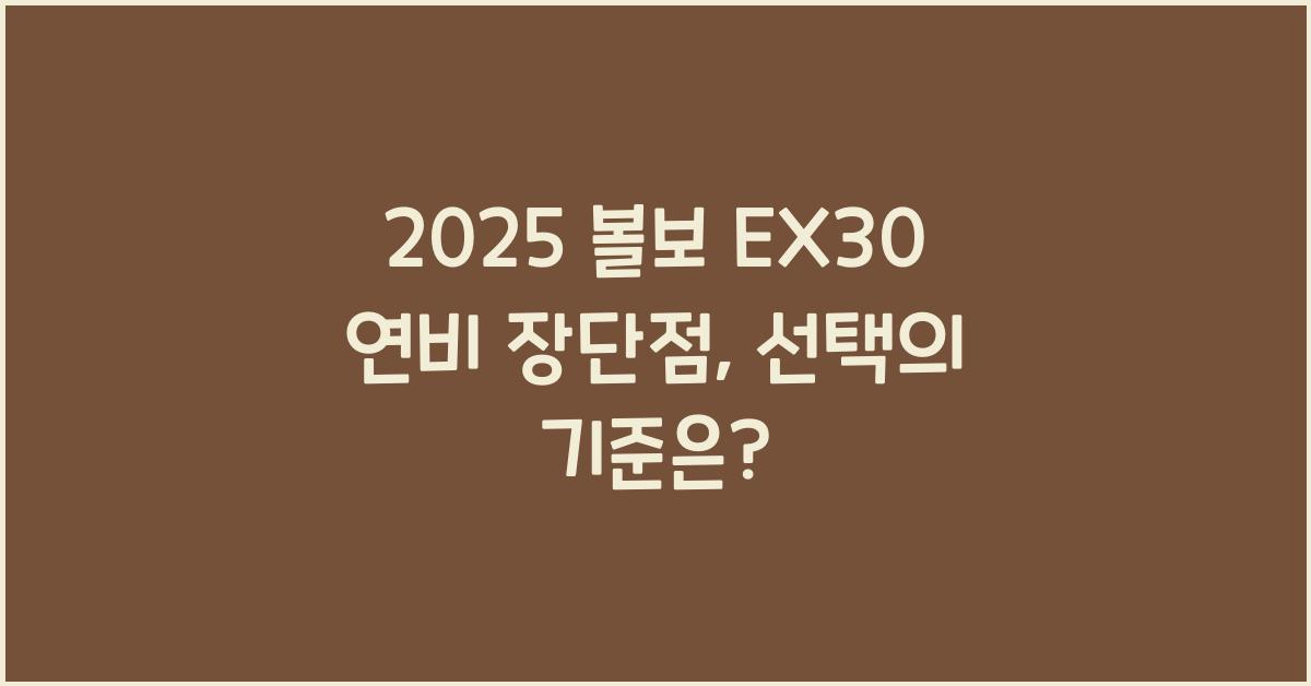 2025 볼보 EX30 연비 장단점