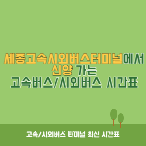 세종고속시외버스터미널에서 신양 가는 고속버스_시외버스 시간표