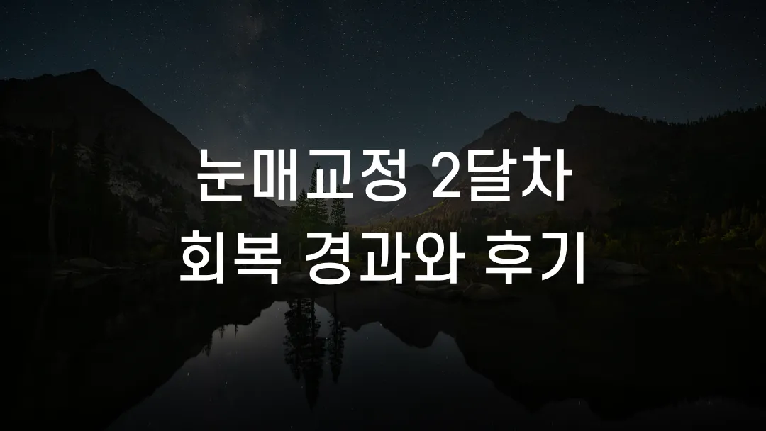 눈매교정 2달차 회복 경과와 후기