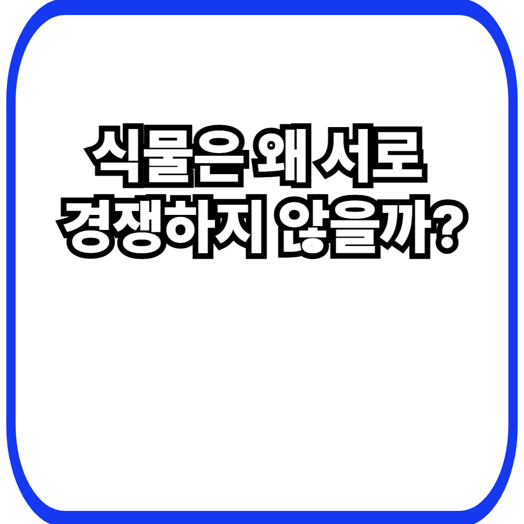 식물 공존 전략에서 시작되는 경쟁 회피, 밀려나지 않고 함께 살아남는 방식
