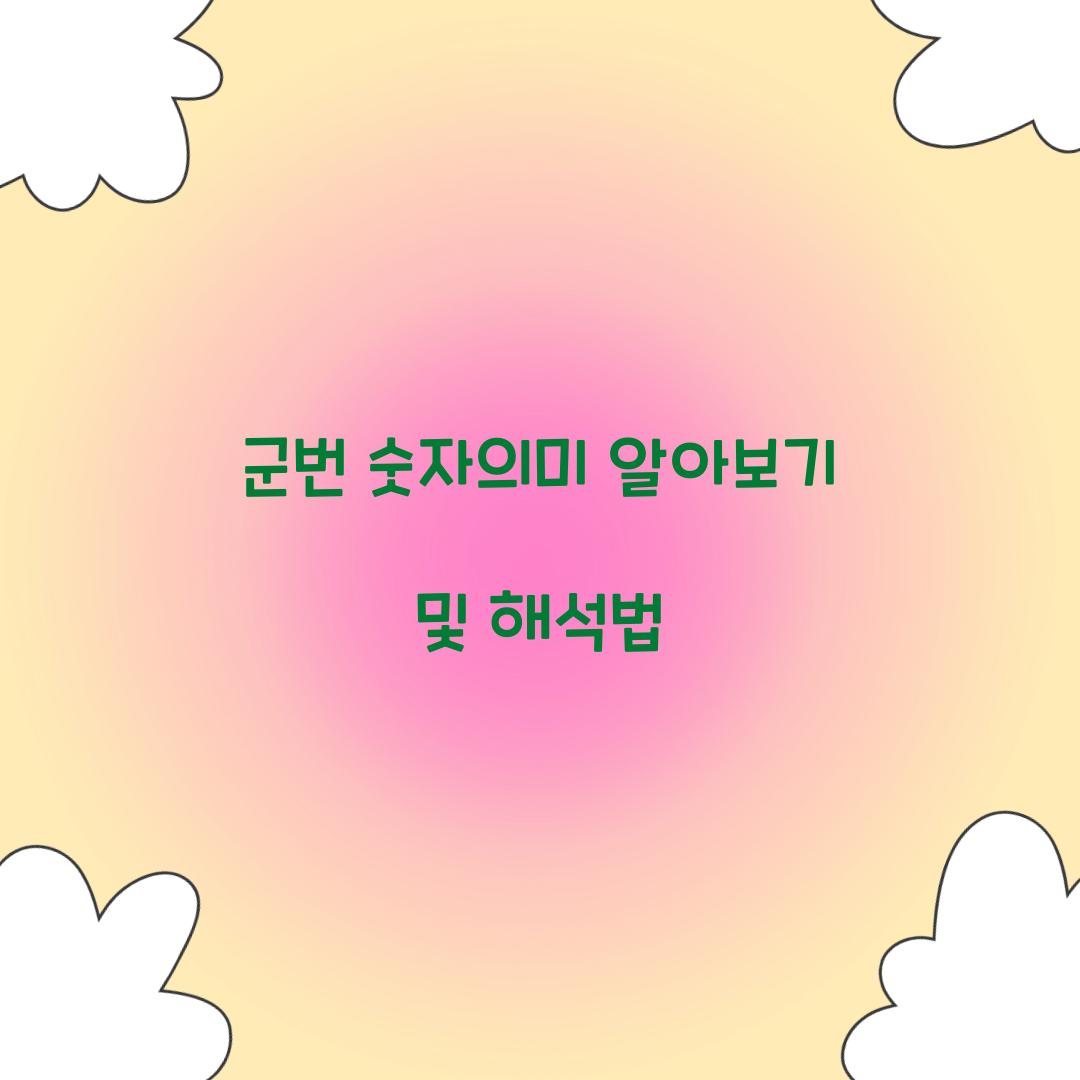 군번 숫자의미