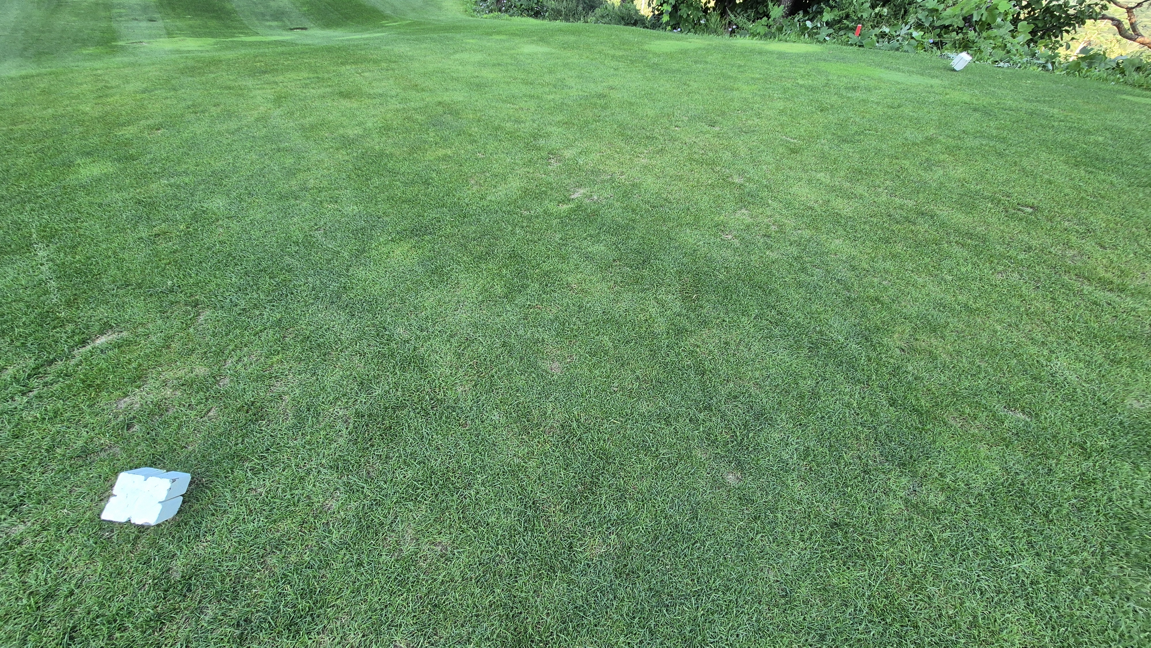 마론cc 라운드 후기