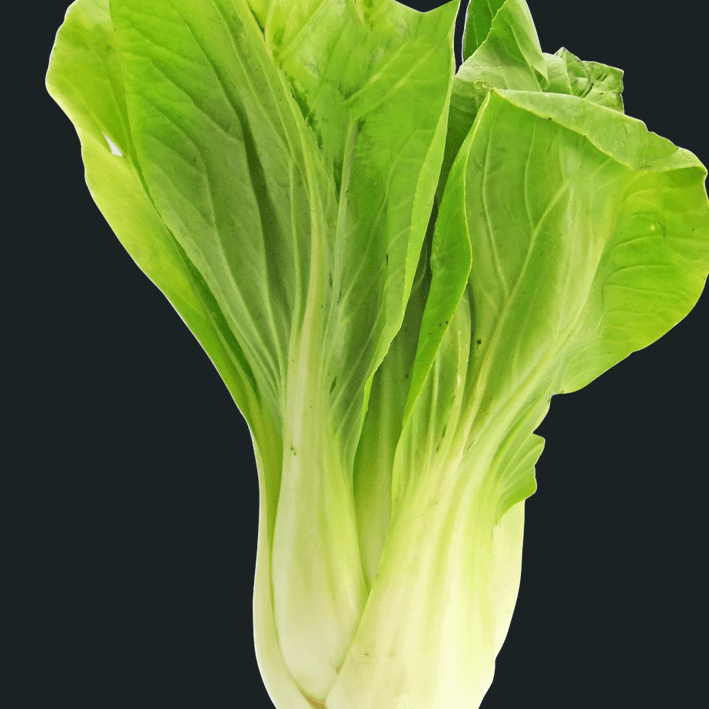 청경채 사진 - 19