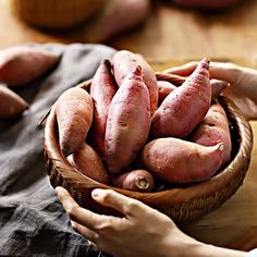 신장에 좋은 음식 만성 신장 통증 증상 질환 환자 좋은음식 나쁜 음식