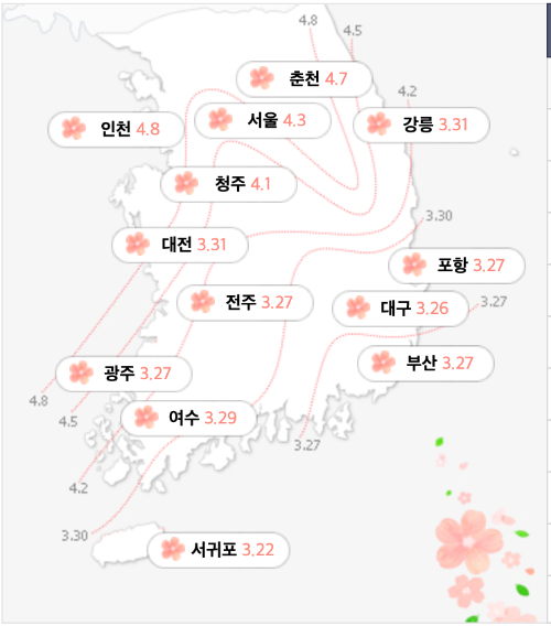2023 벚꽃 개화 시기