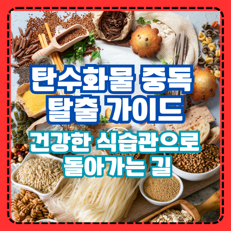 탄수화물 중독 탈출 가이드