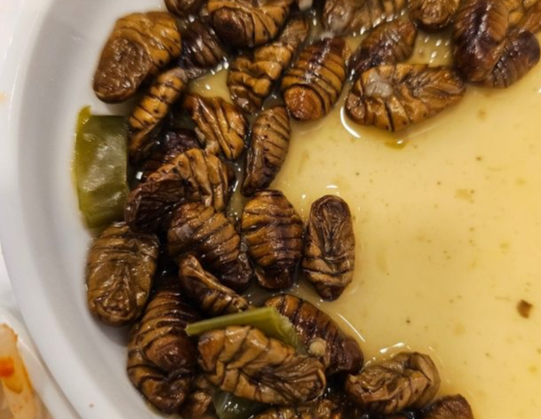 요리가-되어있는-번데기