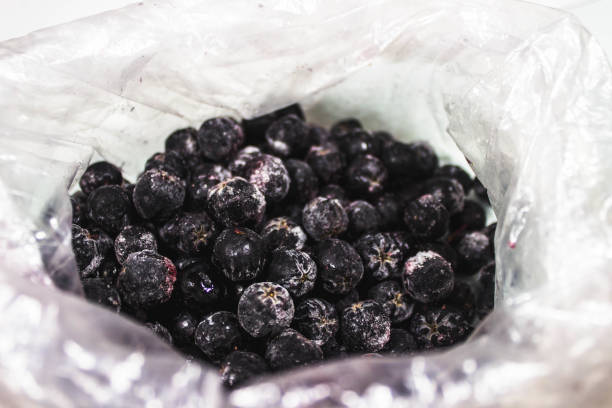 냉동 아로니아 vs 생과 뭐가 더 좋을까? 활용법과 미용효과