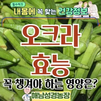 오크라 효능 재배법 손질 수확 요리 보관까지 한눈에 보기_21