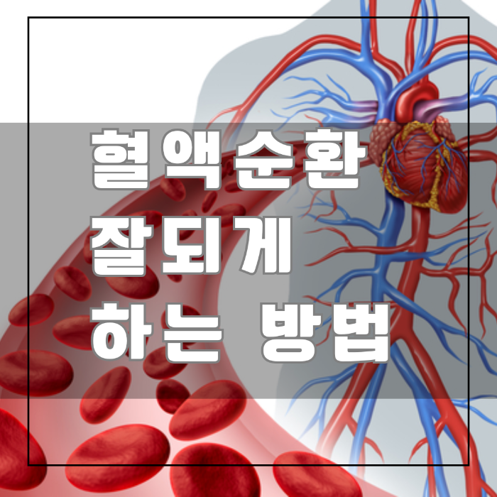 혈액 순환 잘되게 하는 법