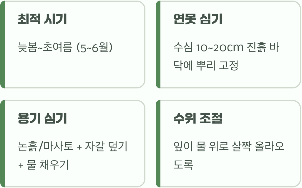 성공적인 첫걸음, 옮겨 심기