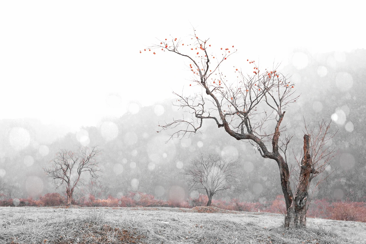 대중교통 이용안내