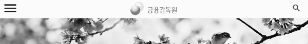 금융감독원 홈페이지