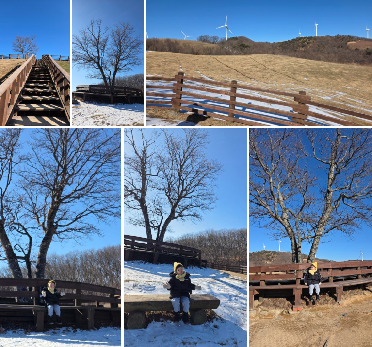 5세 아이와 함께한 대관령 삼양라운드힐