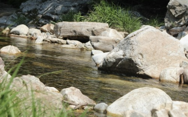 Alt 속성 문제 해결 설명 이미지