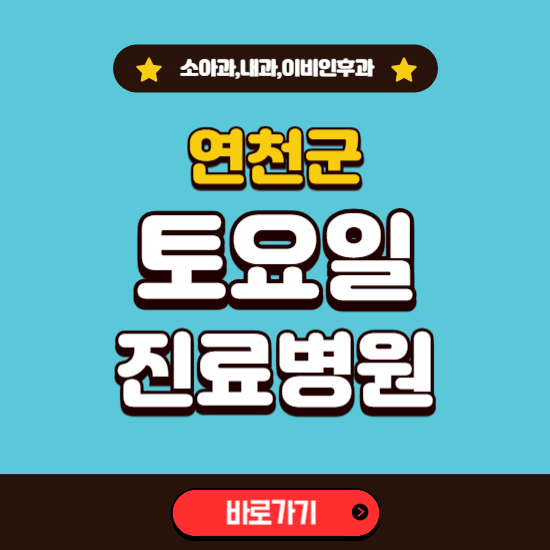 연천군 토요일 진료 병원 찾기 ❘ 주말 문여는 소아과, 내과, 이비인후과 리스트
