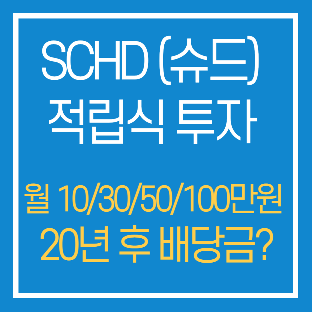 scds 적립식 투자