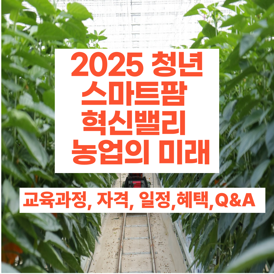 2025 청년 스마트팜 혁신밸리 농업의 미래(교육과정, 자격,일정, 혜택, Q&A